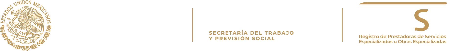 Secretaría del trabajo y previsión social, REPSE